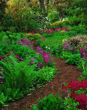 wood chip path through a flower bed